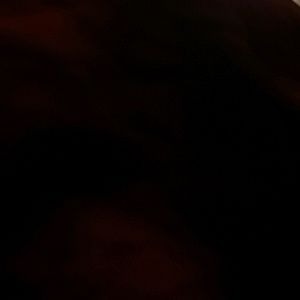 Meet your Posher, Toyri